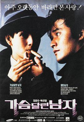 射雕英雄传之侠之大者